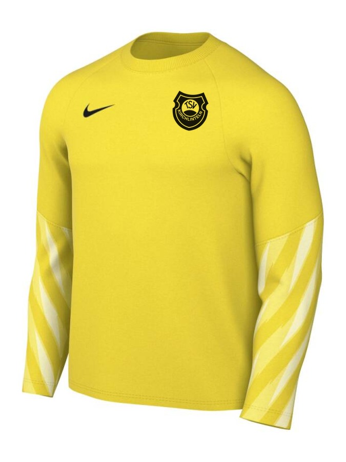 Nike Dri-FIT Park V Torwart Trikot Langarm
