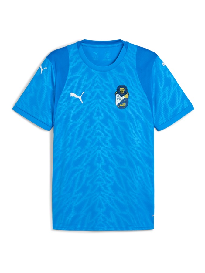 PUMA teamCUP Trikot