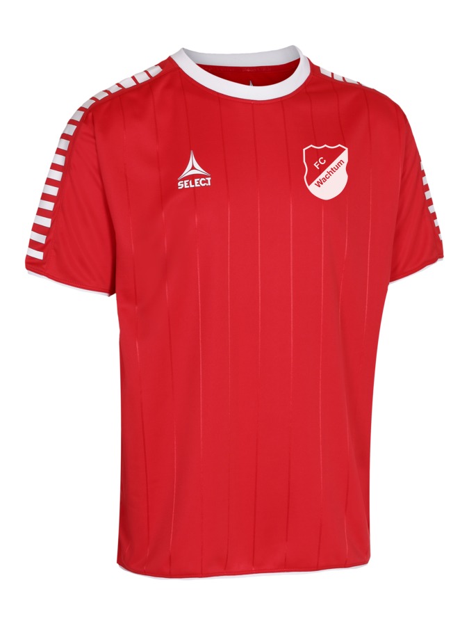Select Argentina Trikot