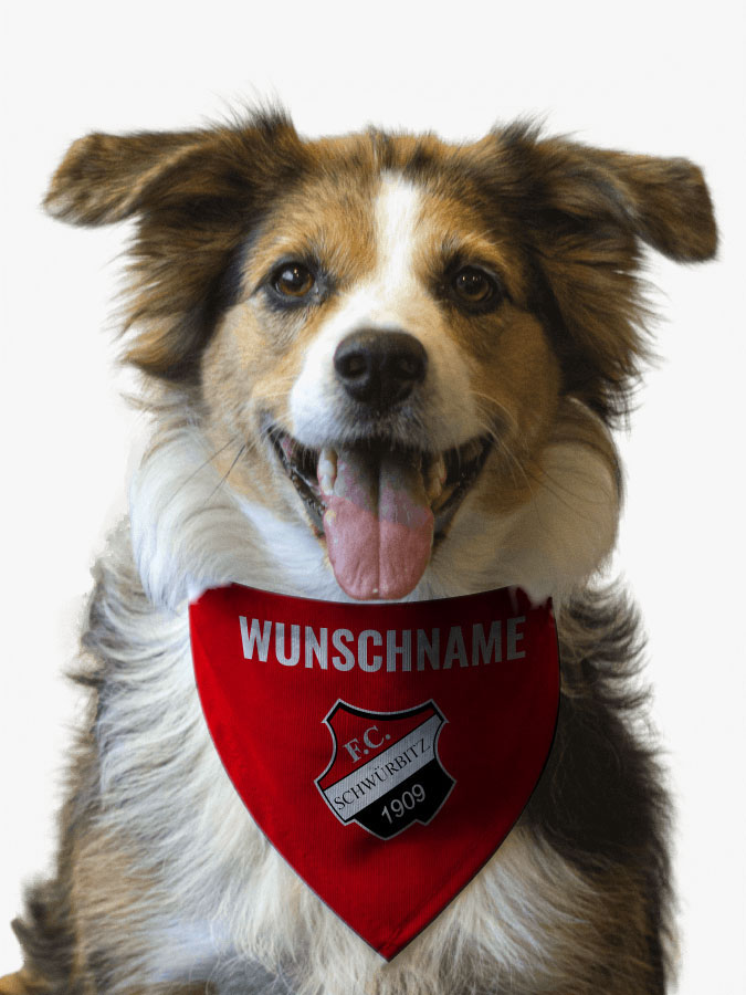 Hundehalstuch