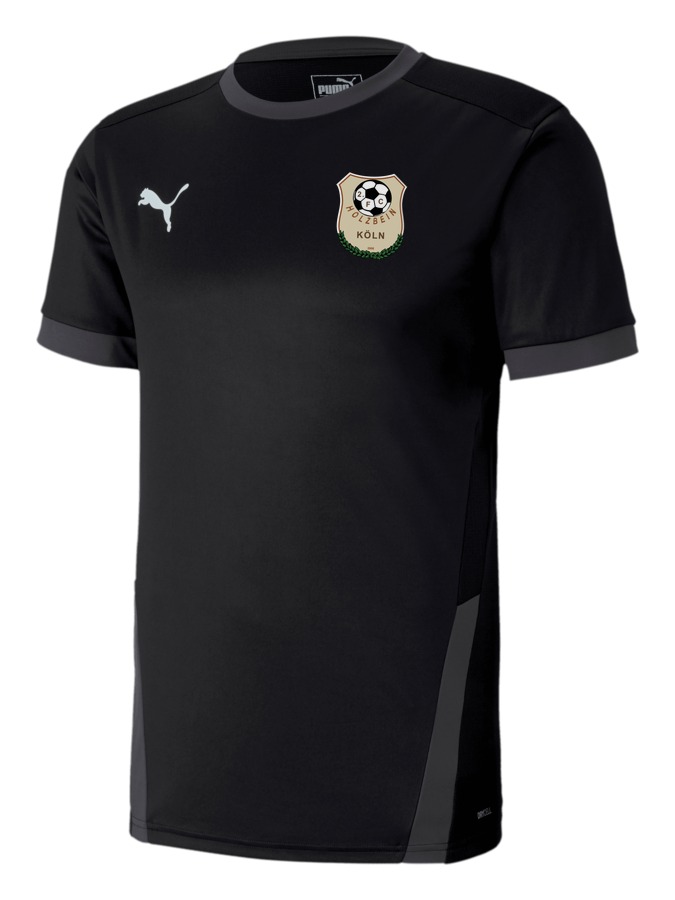 PUMA teamGOAL 23 Trikot