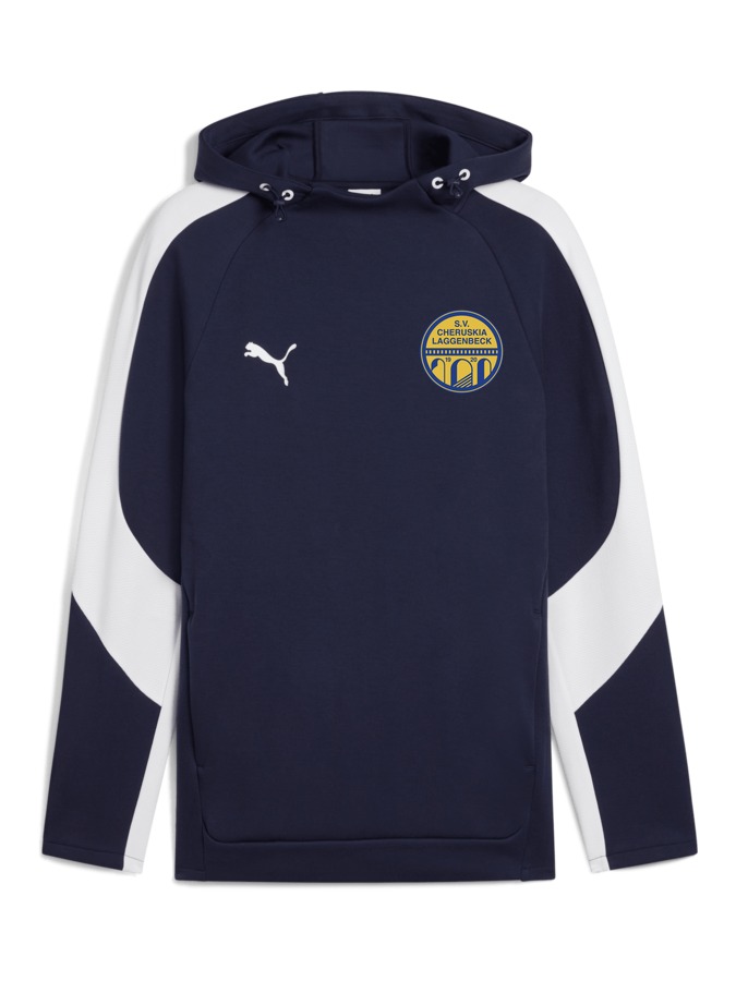 PUMA teamEVOSTRIPE Hoody