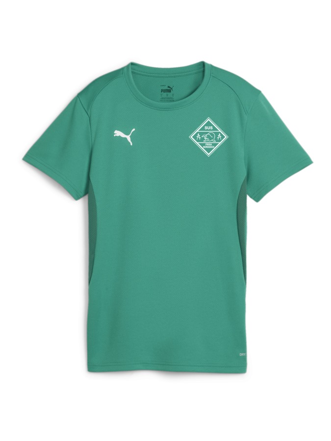 PUMA teamGOAL Trikot Damen