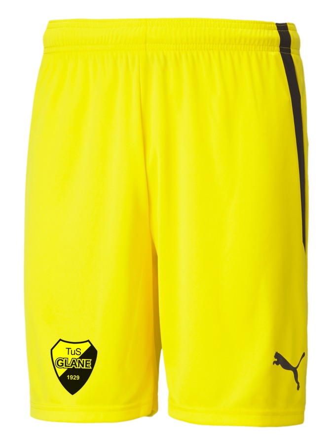 PUMA teamLIGA Shorts