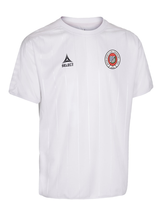 Select Argentina Trikot