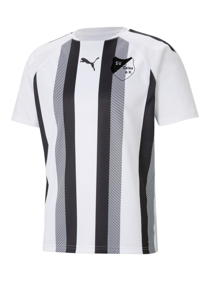 PUMA teamLIGA Striped Trikot