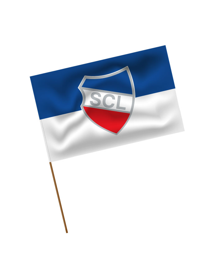 Stadionfahne Logo