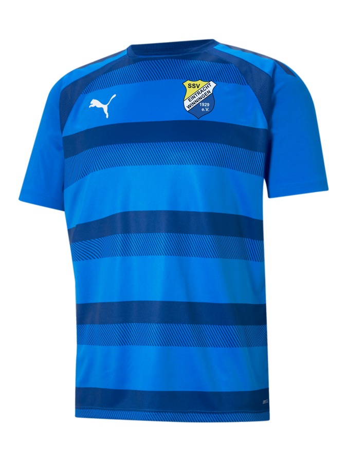 PUMA teamVISION Trikot
