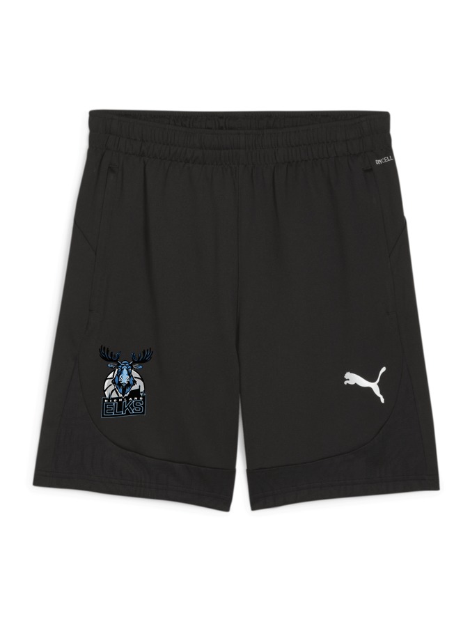 PUMA teamFINAL Training Shorts