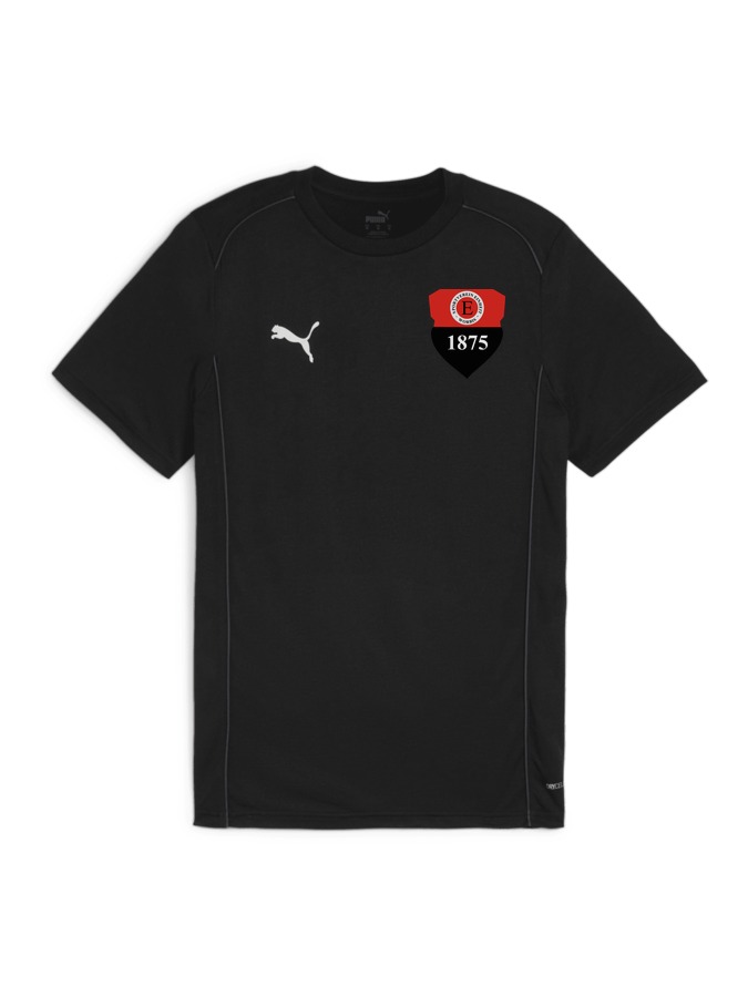 PUMA teamFINAL Casuals T-Shirt