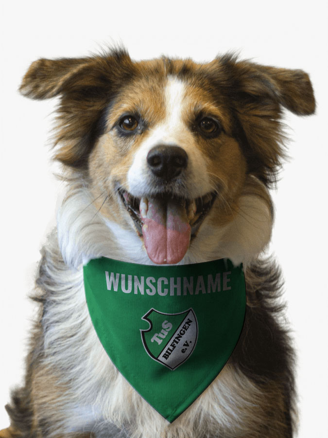 Hundehalstuch