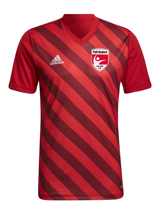adidas Entrada 22 GFX Trikot