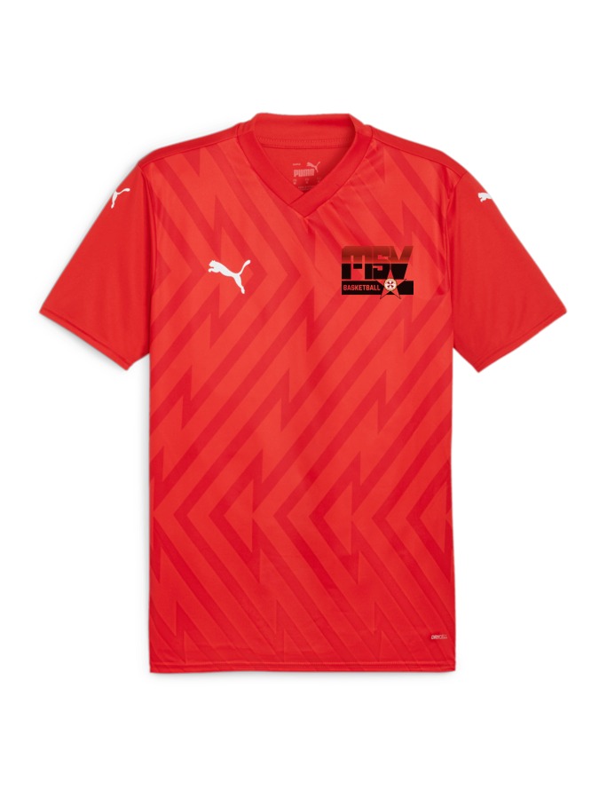 PUMA teamGLORY Trikot
