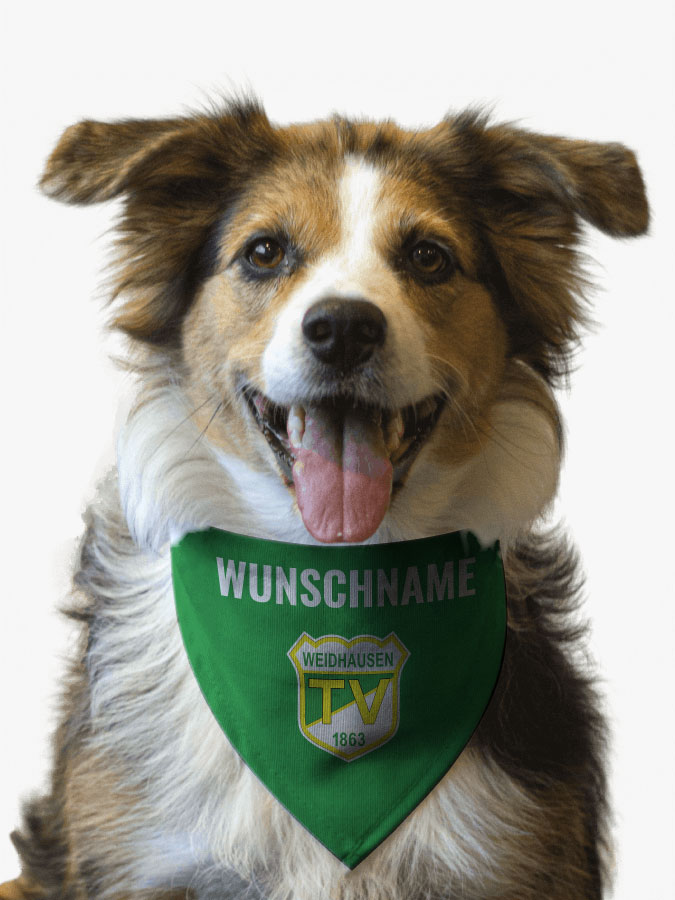 Hundehalstuch
