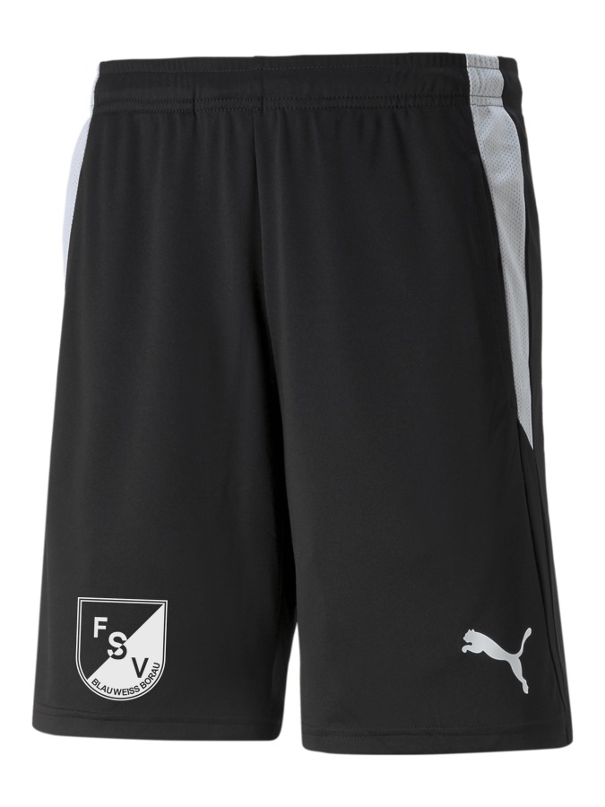 PUMA teamLIGA Referee Shorts