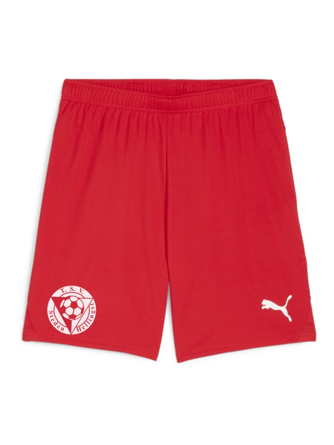 PUMA teamGOAL Shorts