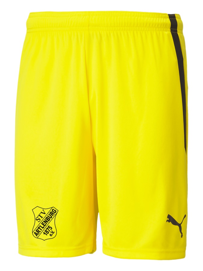PUMA teamLIGA Shorts