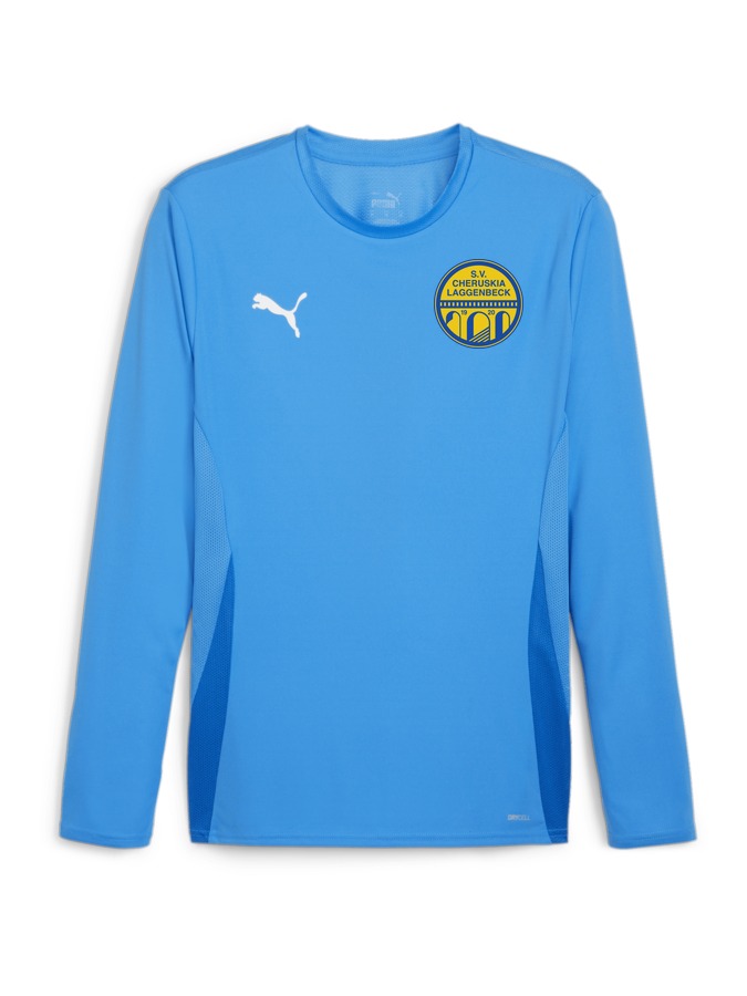 PUMA teamGOAL Longsleeve Trikot