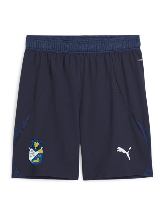 PUMA teamFINAL Shorts
