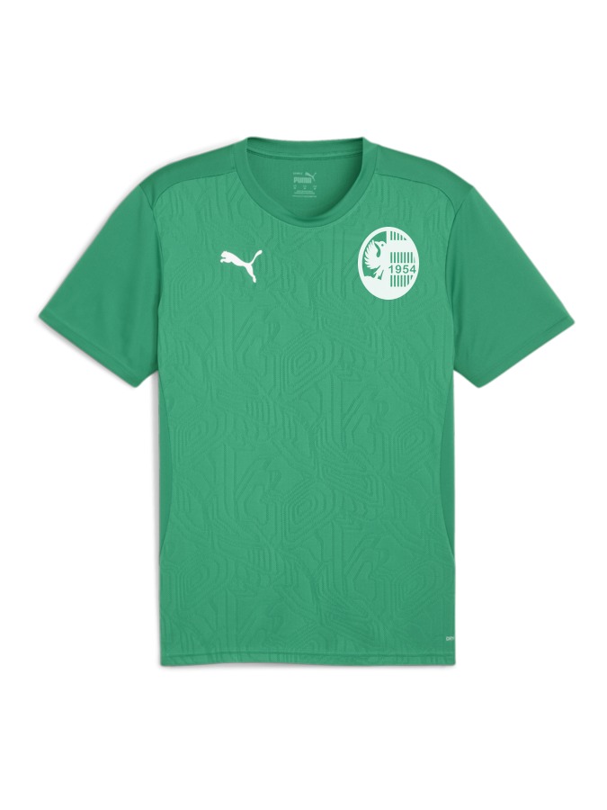 PUMA teamFINAL Trainingsshirt