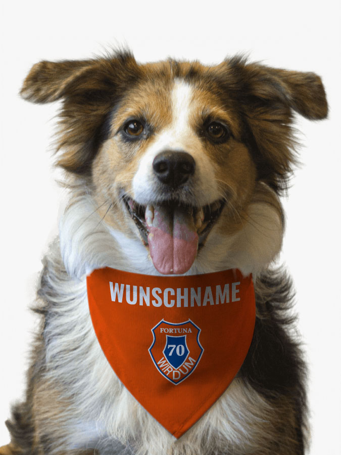 Hundehalstuch