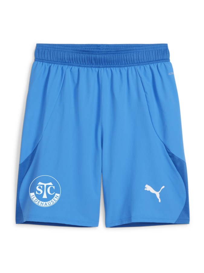 PUMA teamFINAL Shorts