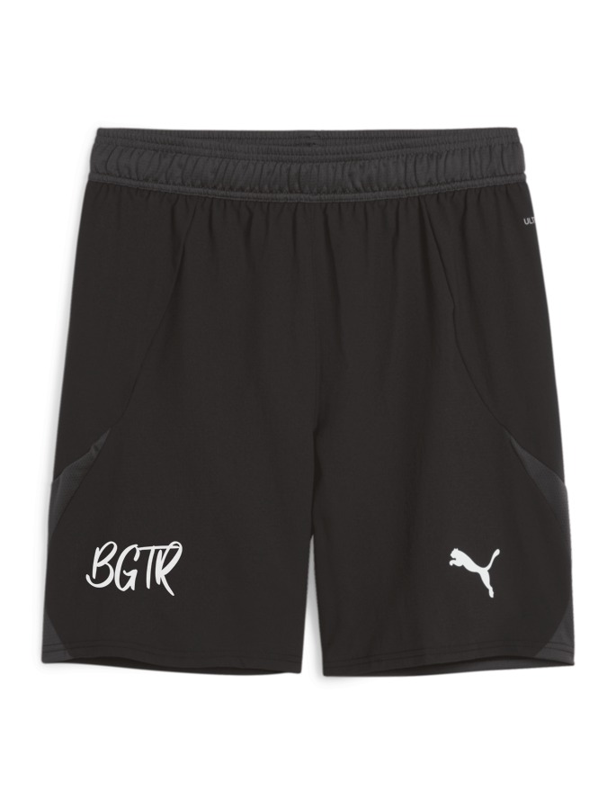 PUMA teamFINAL Shorts