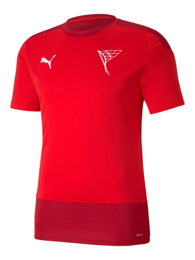 PUMA teamGOAL 23 Trainingsshirt