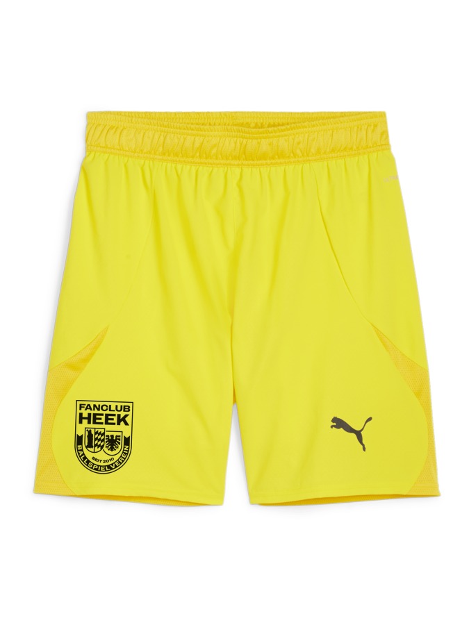 PUMA teamFINAL Shorts