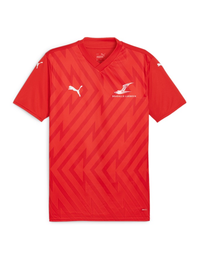 PUMA teamGLORY Trikot