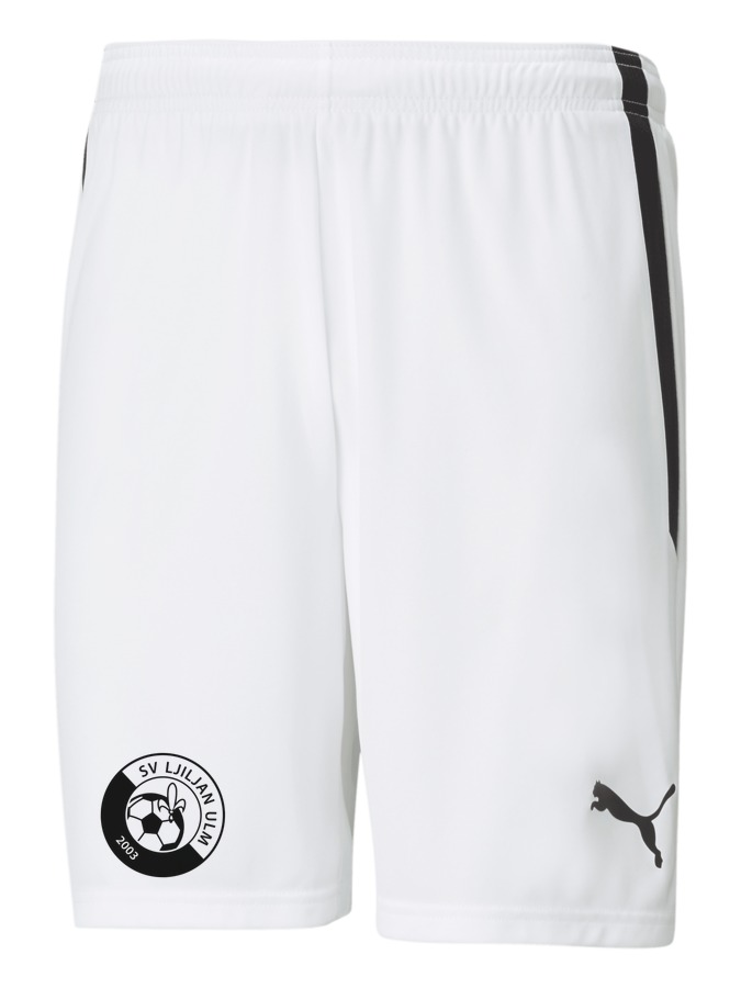 PUMA teamLIGA Shorts