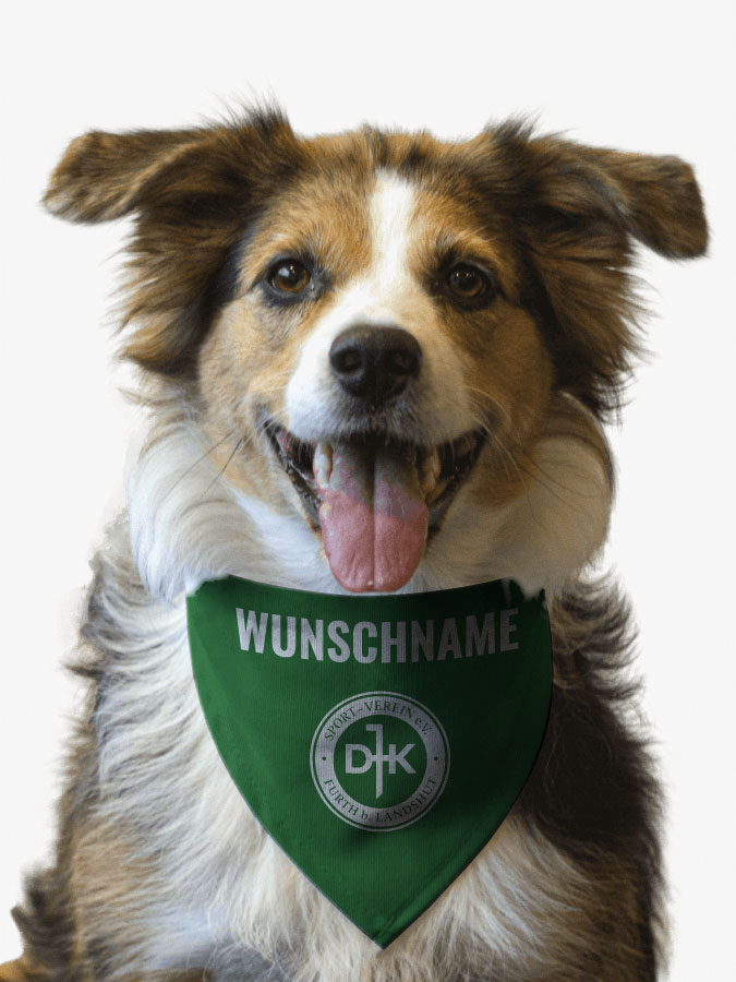 Hundehalstuch