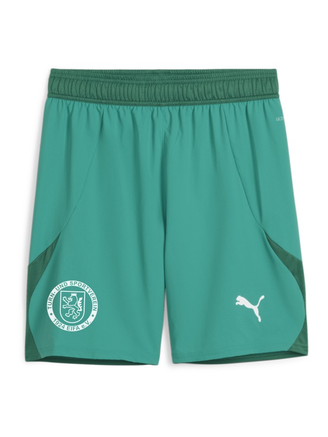 PUMA teamFINAL Shorts