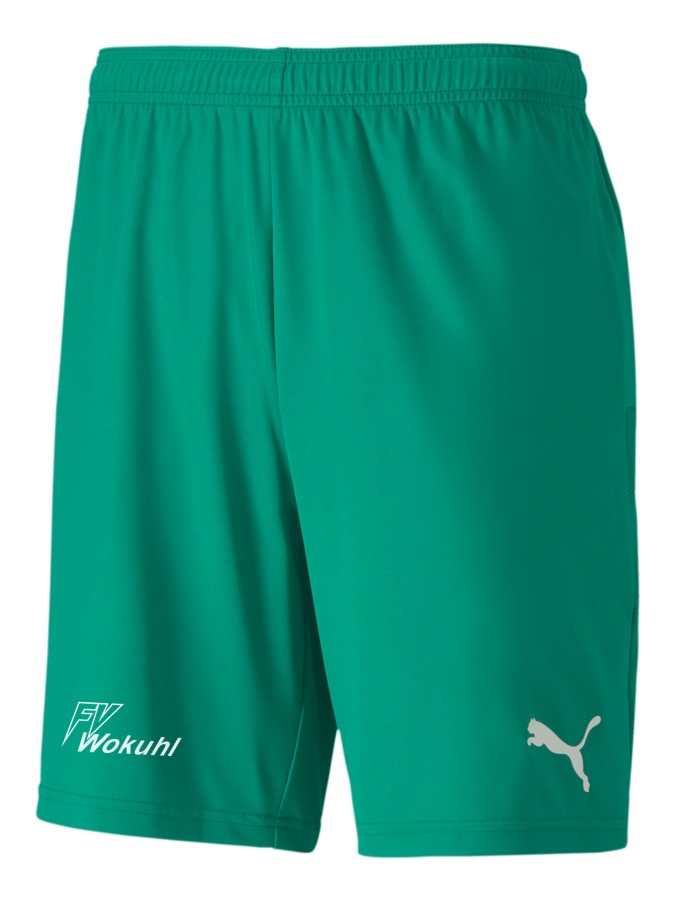 PUMA teamGOAL 23 Knit Shorts