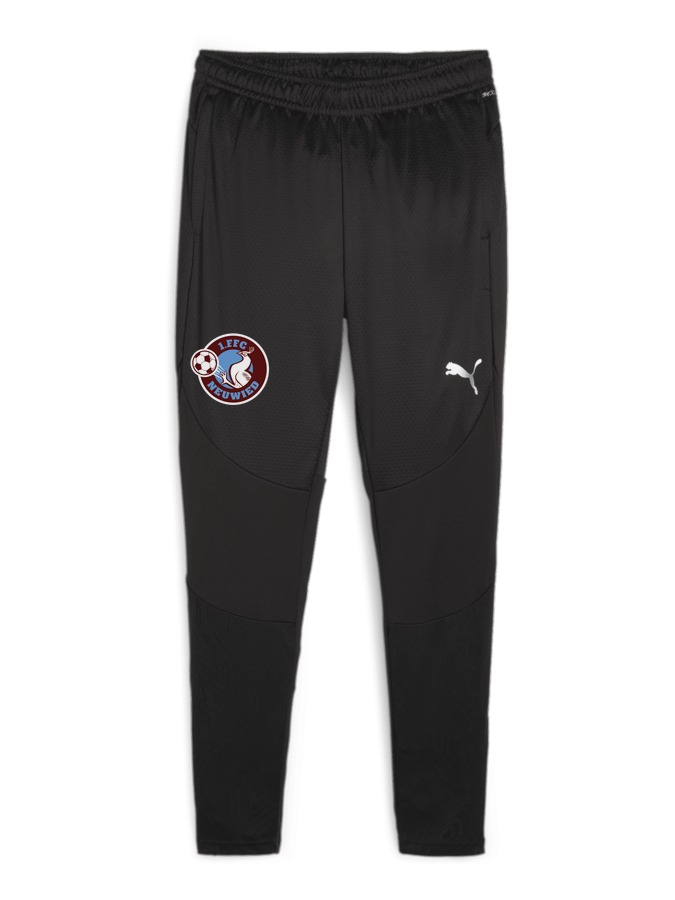 PUMA teamFINAL Trainingshose