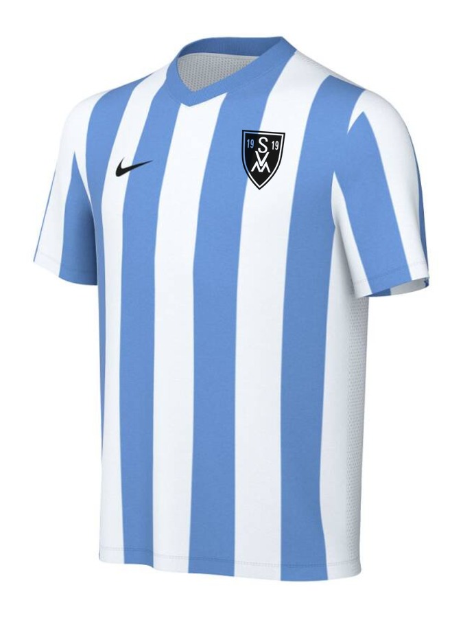 Nike Striped Division V Trikot Kinder