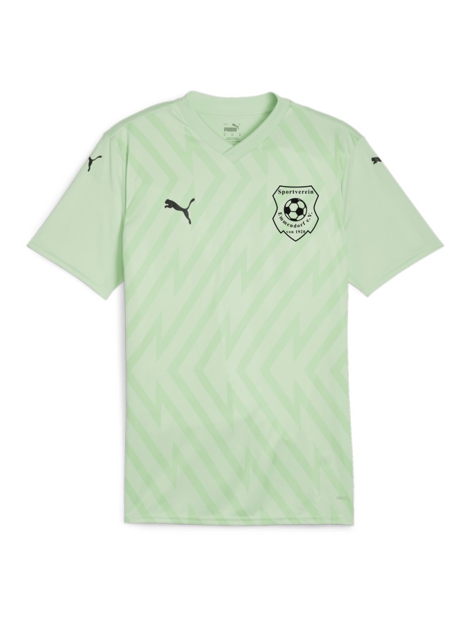 PUMA teamGLORY Trikot