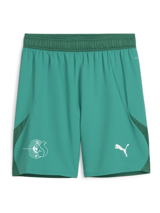PUMA teamFINAL Shorts