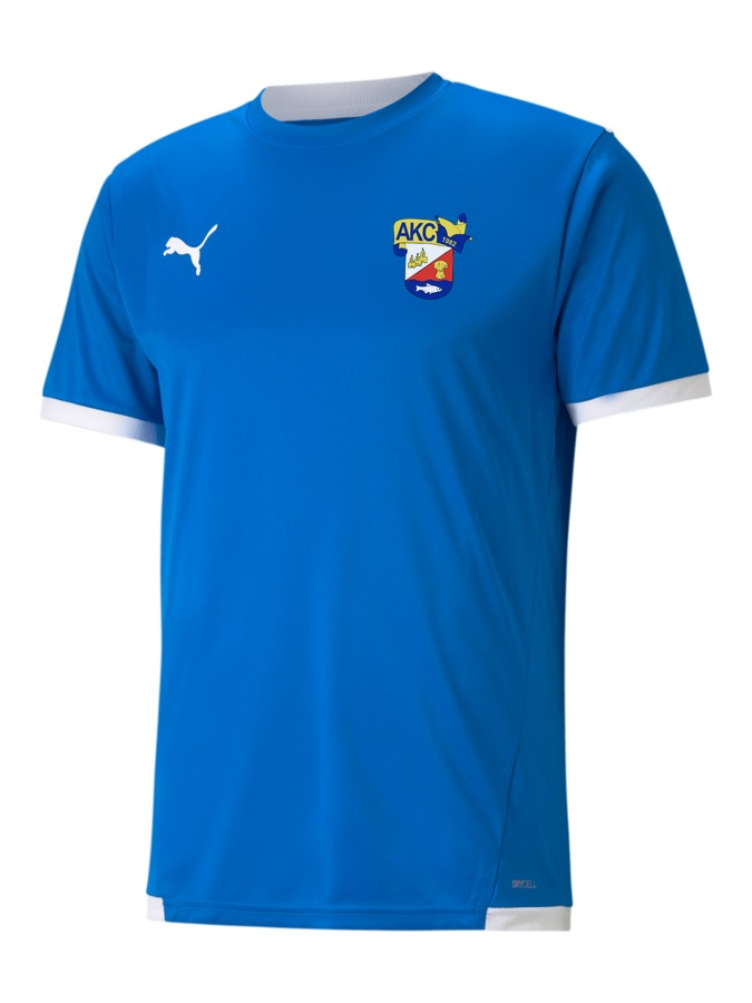 PUMA teamLIGA Trikot
