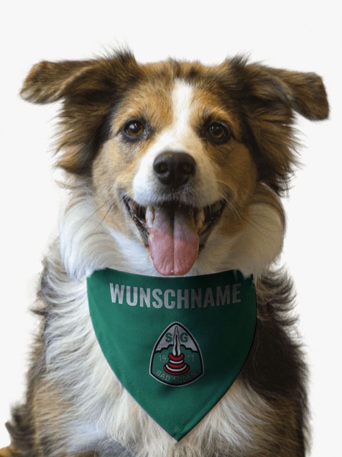 Hundehalstuch