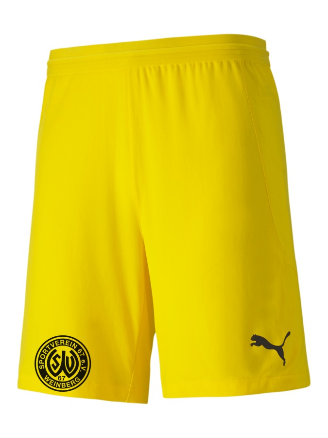 PUMA teamFINAL 21 Knit Shorts