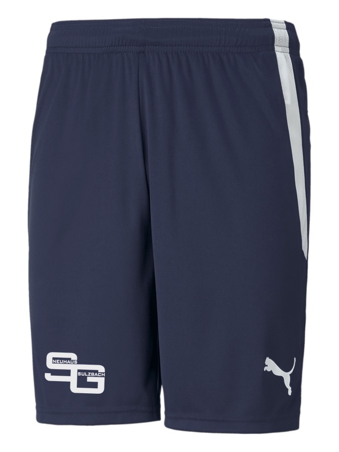 PUMA teamLIGA Shorts