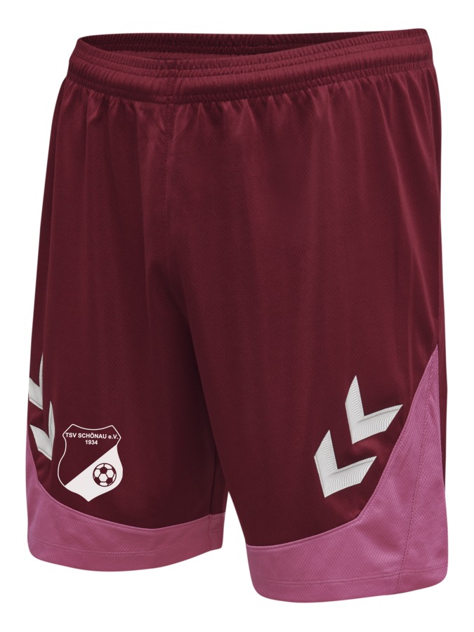Hummel Lead Trainingsshorts