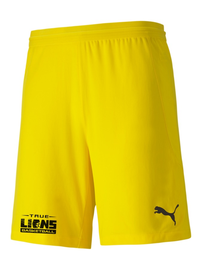 PUMA teamFINAL 21 Knit Shorts