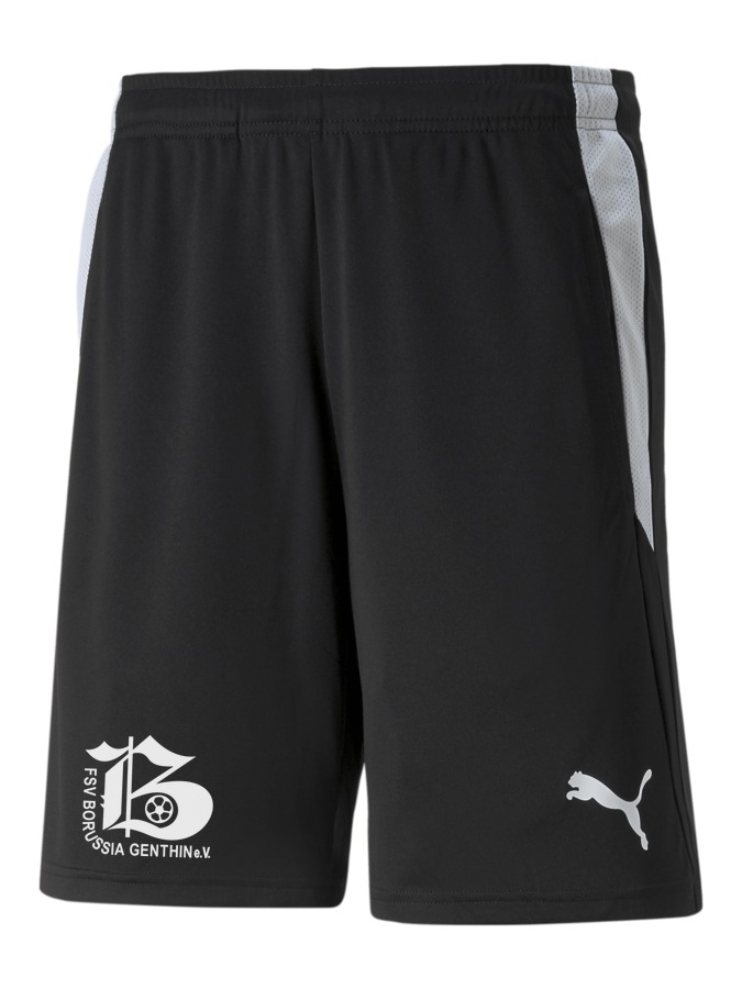 PUMA teamLIGA Referee Shorts