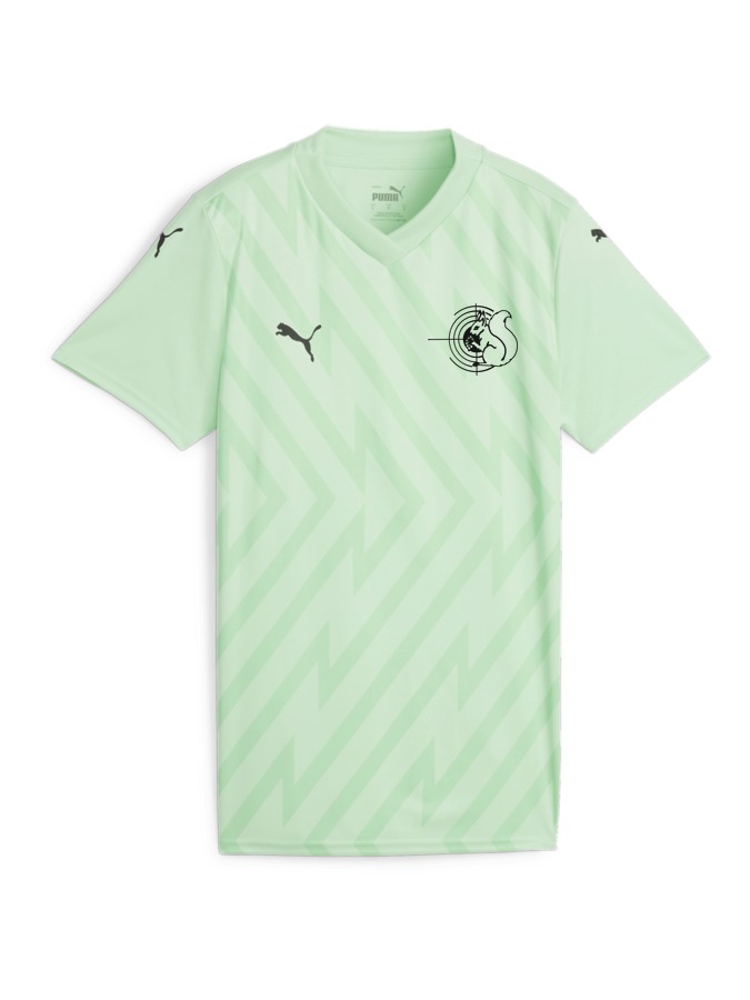 PUMA teamGLORY Trikot Damen