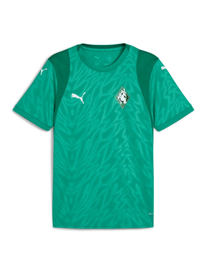 PUMA teamCUP Trikot