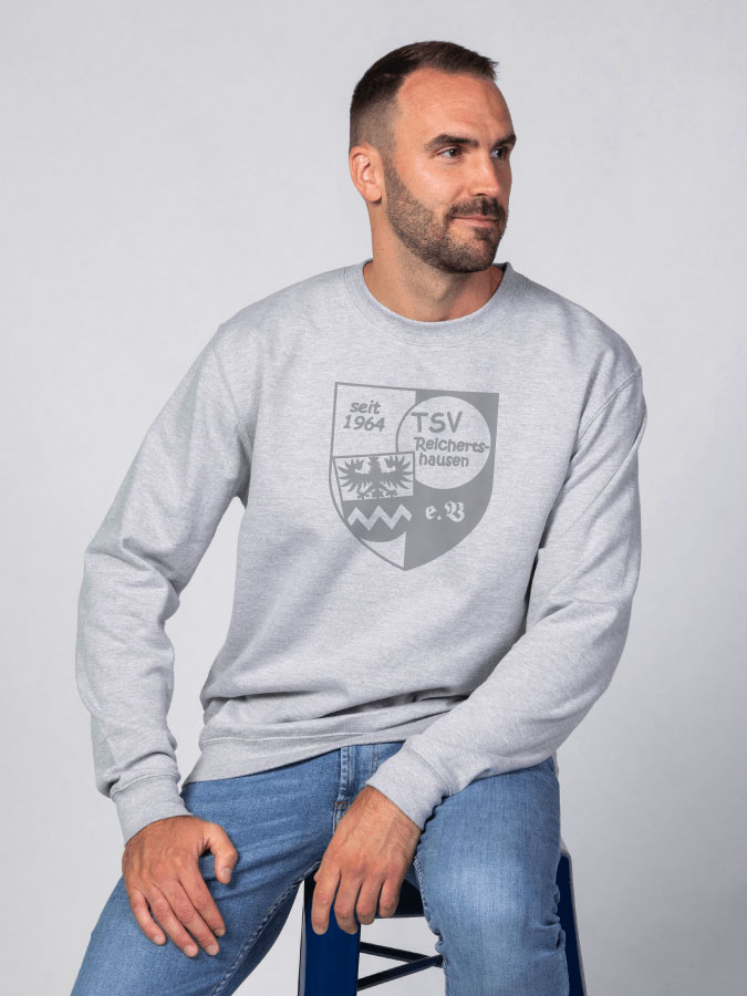 Sweater All Grey Herren