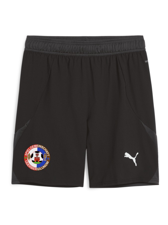 PUMA teamFINAL Shorts