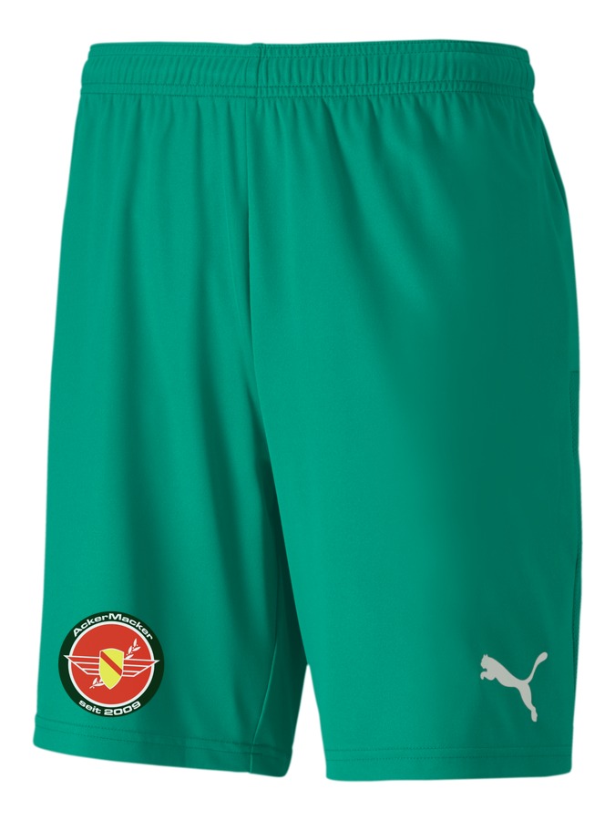 PUMA teamGOAL 23 Knit Shorts